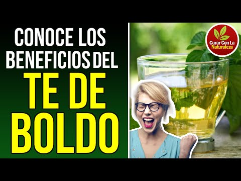 El te de boldo es bueno para adelgazar rapido