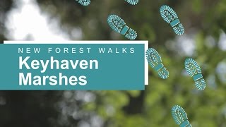 New Forest walks: Keyhaven Marshes