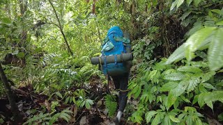 CAGS KETAMBE - Ketambe Jungle Trekking - Gunung Louser National Park