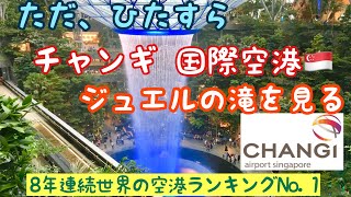 シンガポール・チャンギ 国際空港　ジュエルの滝を、ただひたすら見る動画