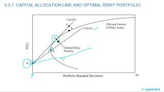 describe and interpret the minimum-variance and efficient frontiers of risky assets and..