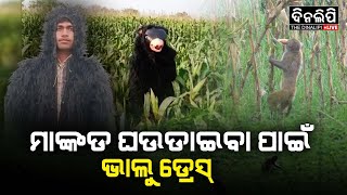 ମାଙ୍କଡ ଘଉଡାଇବା ପାଇଁ ଅଭିନବ ପଦକ୍ଷେପ | ଭାଲୁ ବେଶରେ ସଜ୍ଜିତ ହୋଇ ଚାଷୀମାନେ ମାଙ୍କଡ ଘଉଡାଇଛନ୍ତି #uttarpradesh