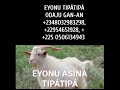 eyonu tipÁtipÁ todaju fÚn gbogbo ÈnÌyÀn 2348032983298 22954651928 2250506134943