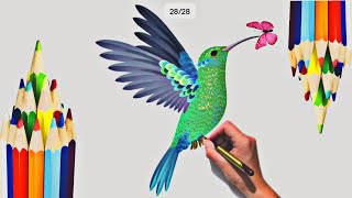 bird drawing for beginners - how to draw bird easy - bird drawing and colour step by step 04