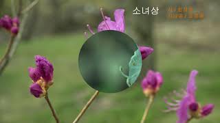 최정원 / 소녀상 / 시낭송 / 김정애 (낭송시 선정)