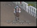 調教 080813 スリープレスナイト 「北九州記念」前追い切り