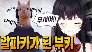 멤버들 신의상 분석하는 히나 ㅋㅋㅋ