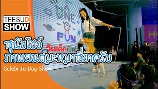 Celebrity Dog Show การแสดง สุนัขโชว์ ภาพยนต์มะหมาสี่ขาครับ น่ารักแสนรู้ ที่สุดโชว์ โทร.081-5709555