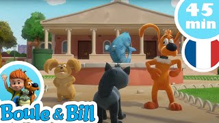 😨 Bill et tous les autres ont vraiment des puces ? 🐜 - Nouvelle compilation Boule et Bill FR