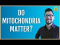 ☀️ Do Mitochondria Matter? (2024)