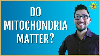 ☀️ Do Mitochondria Matter? (2024)