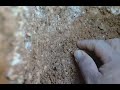 鉱物採集動画〜長い緑柱石 ベリルのガマ 晶洞・pegmatite beryl pocket 〜①