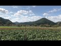 山国神社　外観