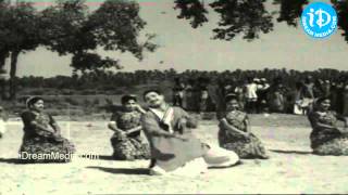 Kalasivunte Kaladu Sukham Movie Songs - Bangaram Song - NTR - Savitri - SVR