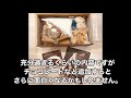 【番外編】クリスマスなのでお菓子の家作ってみた。【ヘクセンハウスキット】