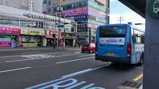 2019.11 부산광역시 시내버스 2번 -  Korea Busan Bus