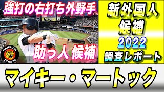 【阪神タイガース】新外国人 調査レポート2022 メジャーFA権取得  外野手 大砲候補か！？8人目の外国人は誰だ！？ マイキー・マートック選手