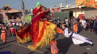 《天興正妹笑容可掬〜北京獅入行台》