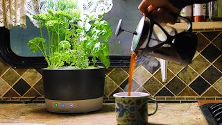 Easily Grow Herbs In Your Kitchen! - Countertop Hydroponic Garden