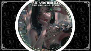Mike Williams x Mesto - Wait Another Day