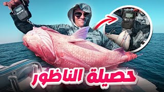 اكتشاف أعماق ناظور الغنية بالأسماك وصيد مذهل! الجزء الأخير🛥️