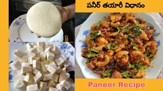 ఇంట్లోనే పన్నీర్ తయారీ విధానం | How to make Panner at home| Paneer masala curry | Paneer making