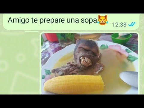 Bromas De Whatsapp - YouTube