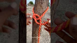 Strong Bowline Knot!