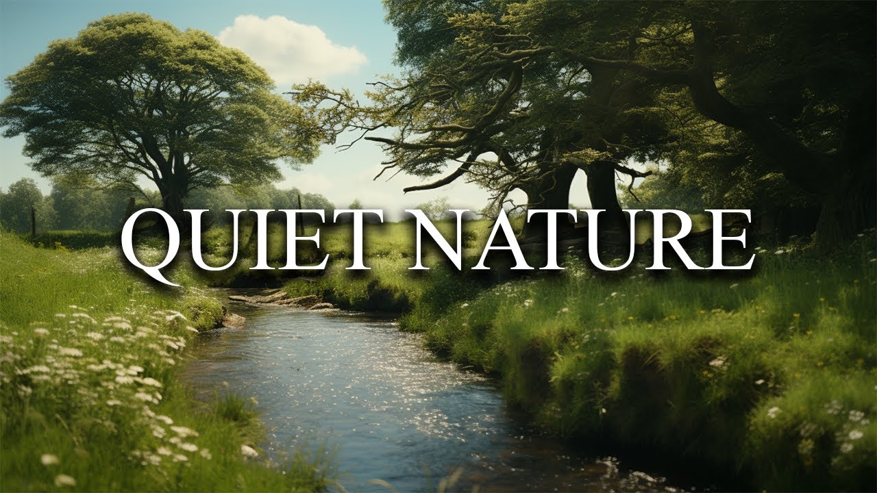 Planet Earth 4k Ambient Music With Quiet Birds Wind And Water Best