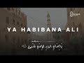 Ya Habibana Ali | Lirik | Qashidah Merdu