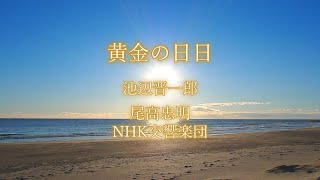 【NHK大河ドラマ】(1978年) 黄金の日日,池辺晋一郎,尾高忠明,NHK交響楽団