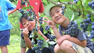 南部町「この町は活きている」－第22回ふるさと自慢わがまちＣＭ大賞