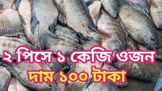 ২পিসে ১ কেজি ওজন দাম ১০০ টাকা। তেলাপিয়া মাছের পাইকারি বাজার wholesale fish price market