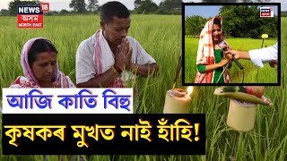 Kati Bihu 2023 : Lakhimpur ৰ কৃষকৰ কাতি বিহুৰ প্ৰস্তুতি, কেনেকুৱা হৈছে এইবাৰৰ ফচল? N18V