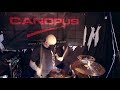 [CANOPUS / カノウプス] Kim Filppu plays The Brass Snare Drum Limited Edition with All Gold Parts