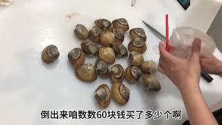 活北极贝啊！主打的就是一个高级！#vlog日常 #刺身美食 #主打的就是一个真实 #省钱攻略