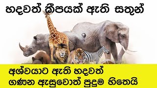 හදවත් එකකට වඩා ඇති සතුන් - Multi hearted animals /සක්වල යාත්රික.  #විශ්මිත #පුදුම#හදවත්