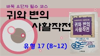 바둑유단자 필수코스 [귀와 변의 사활작전] 유형17 (8~12)