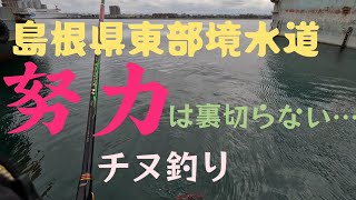 潮、風、天気の悪い境水道チヌ釣り🐟️