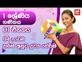 01 ඒකකය | 04 පාඩම - තරම අනුව ද්‍රව්‍ය තේරීම | 01 ශ්‍රේණිය ගණිතය