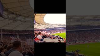VfB Fans im Spiel gegen VfL Wolfsburg