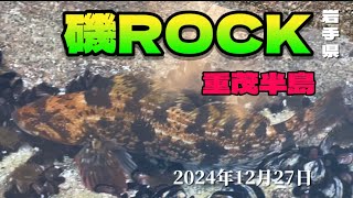 【ロックフィッシュ】　重茂半島には夢がある！磯開拓篇