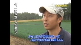 【サンアグロ】　硫黄被覆肥料　長ネギ編