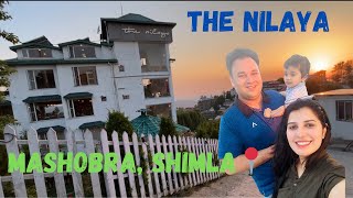 EP:2 The Nilaya resort Mashobra || Pocket friendly luxury resort || Shimla || Himachal Pradesh  ||