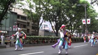 2013 原宿スーパーよさこい 1日目 夜高舞緋組 表参道アベニュー