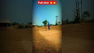 Pull shot 💥💥 🏏| #shorts #viral #india #instagram #ipl