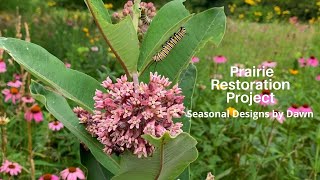 Prairie Restoration Project 🌸🦋🐛