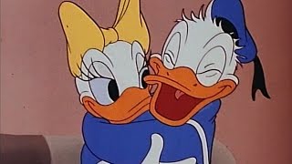 Donald Duck and Daisy Cartoon - Cured Duck