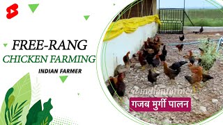 Naye Tarike Se Poultry Farming | Free-Rang Chicken Farming | Indian Farmer | #shorts