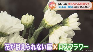 規格外や痛んだ花を墓前の供え花として有効活用　追加料金で墓掃除も　“花王国”愛知で始まった取り組み【SDGs】